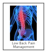 low back pain management