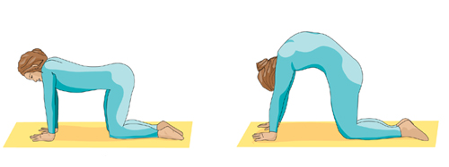 Printable Yoga positions - the cat pose