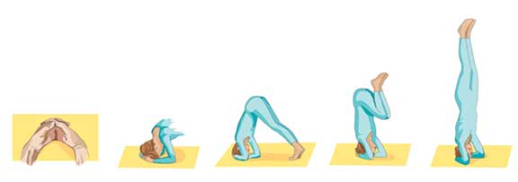 Printable Yoga positions - the head stand pose