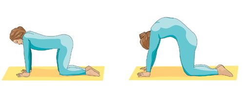 yoga-cat-pose